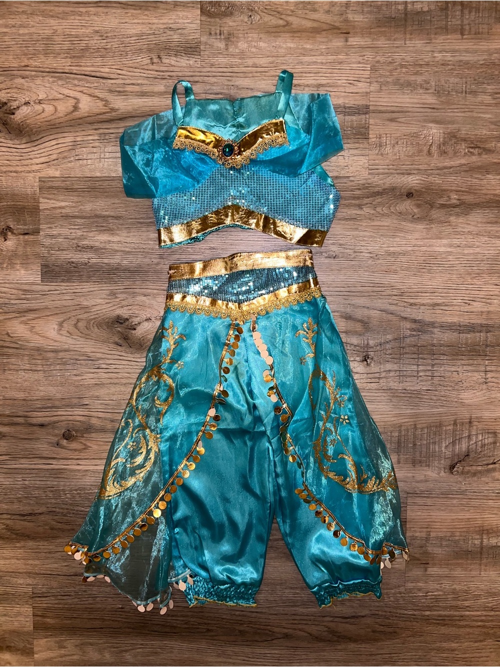 Turquoise & Gold Princess jasmine Kids Costume Top and Harem Pants